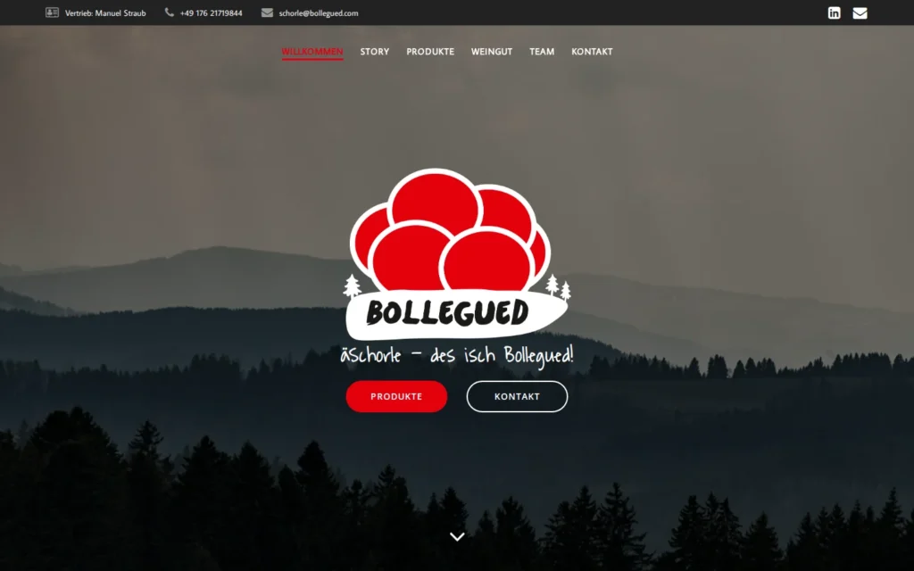 Website Bollegued